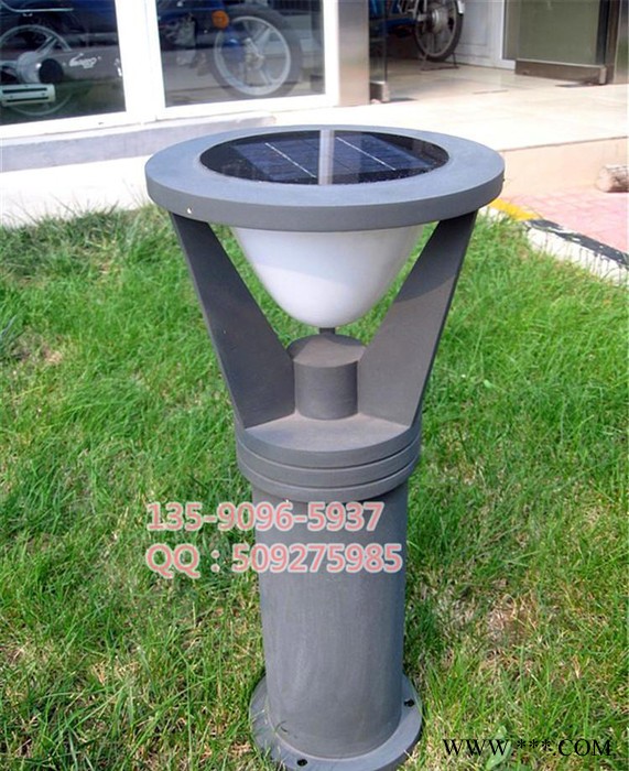 太阳能草坪灯2led 公园装饰亮化灯 太阳能草坪装饰灯图3