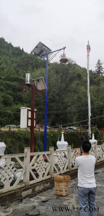 胜隆伟业灯具  太阳能路灯 藏式太阳能路灯 道路太阳能路灯图2