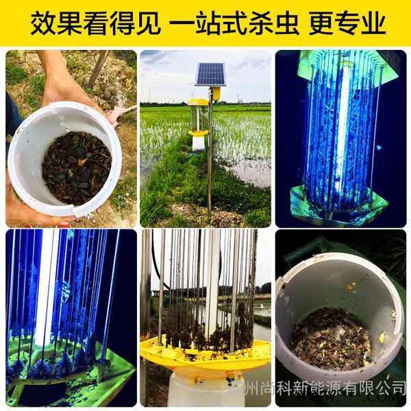 太阳能灭虫灯 太阳能杀虫灯价格 太阳能灭虫灯厂家图2