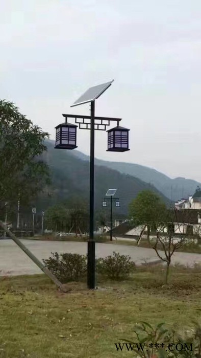 大妙光供应专业批发生产太阳能路灯 6米农村太阳能路灯 太阳能壁灯 别墅太阳能景观灯图4