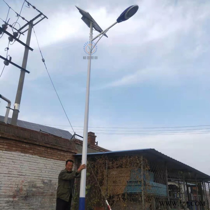 太阳能路灯 太阳能LED路灯 乡村太阳能路灯 户外照明路灯图5