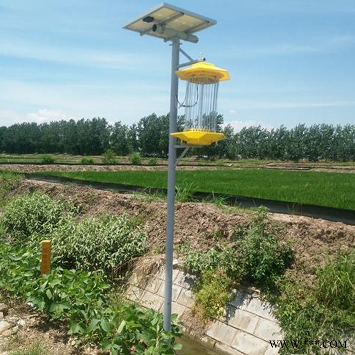 中煤 太阳能杀虫灯  农业太阳能杀虫灯 太阳能杀虫灯型号  太阳能杀虫灯图4