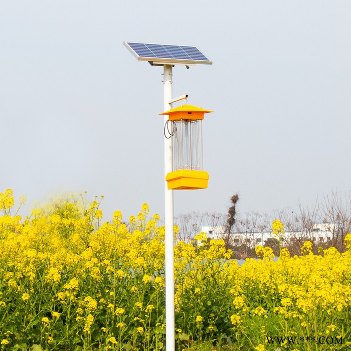 烁视  太阳能杀虫灯 采购批发 LED太阳能啥冲动  太阳能杀虫灯价格 不锈钢太阳能杀虫灯图3