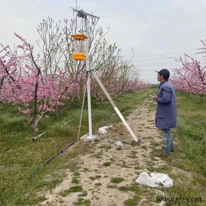 奋钧FJ-S01 太阳能杀虫灯 蔬菜杀虫灯 菜地灭虫灯 茶园杀虫灯 茶园杀虫灯 烟草杀虫灯图4