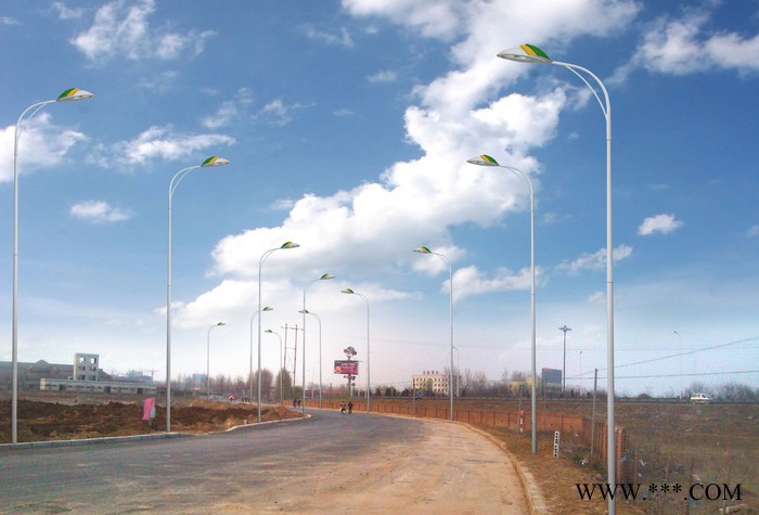 单臂LED-路灯 太阳能路灯  LED路灯  太阳能景观灯 太阳能庭院灯图8