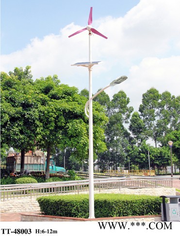 杰炜灯饰TT-48003 风光互补太阳能路灯   风光互补太阳能路灯厂家图6