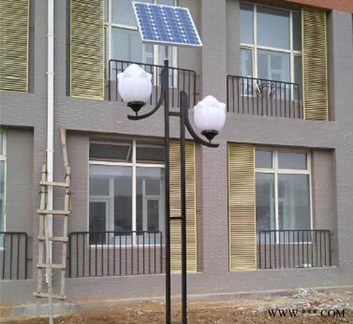 海力西 太阳能LED庭院灯户外灯 太阳能LED路灯杆小区路灯路灯头 太阳能路灯厂家 景观灯图1