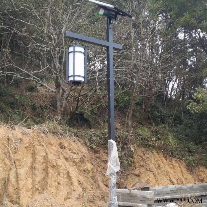 供应园区绿化户外 仿古路灯 太阳能仿古庭院灯厂家常州景观灯厂家 6米仿古哭的批发 仿古LED路灯价格图3