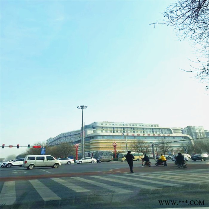 供应景观灯路灯 河南太阳能路灯 景观灯厂家图2