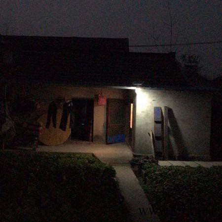 FNZH/伍玖照明TYN-0342 太阳能桃子灯农村庭院太阳能灯 把爱带回家款 黑龙江牡丹江新农村太阳能路灯厂家图2