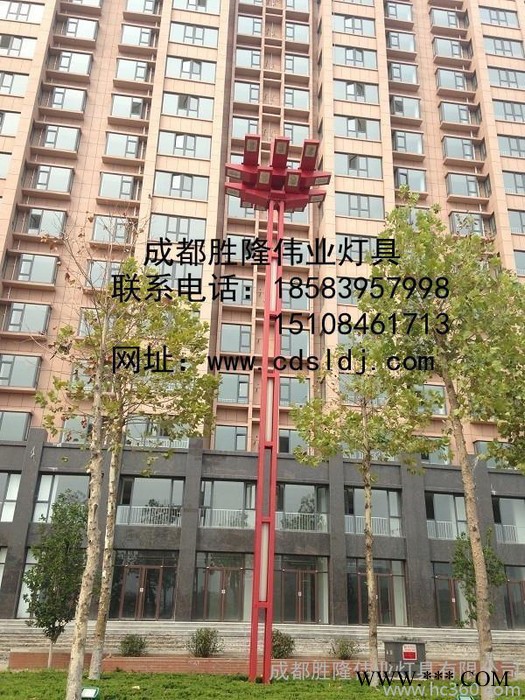 胜隆伟业  太阳能路灯市场价格 太阳能路灯厂家图2