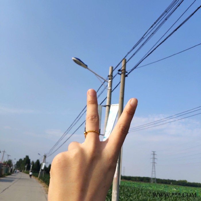 英光-太阳能路灯双滦区电线杆路灯 抱箍灯杆卡子 分体太阳能灯维修图3