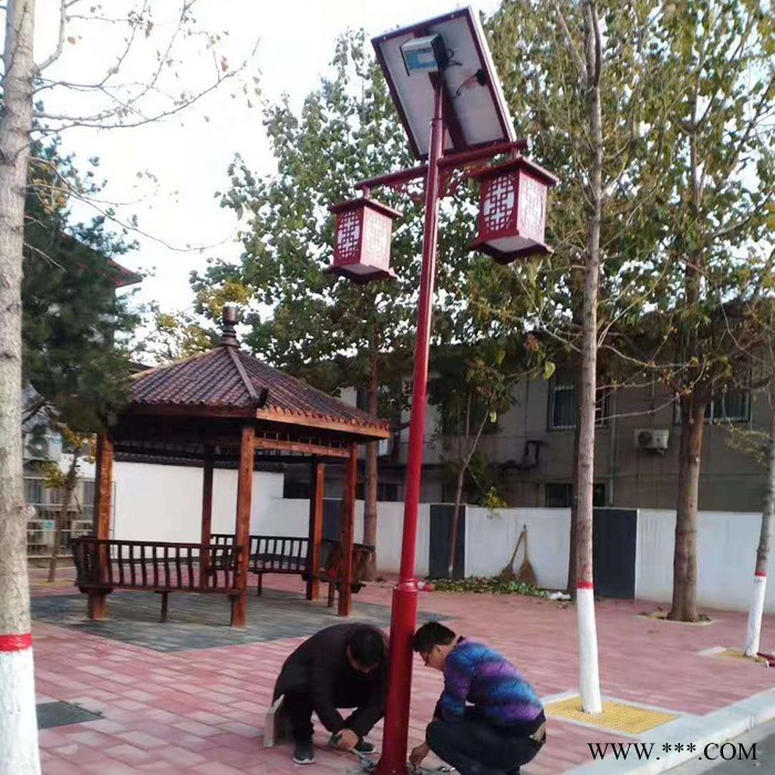 极之光泰安太阳能道路灯 新农村户外照明太阳能路灯 厂家直供图6