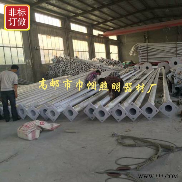 巾帼 12V6米太阳能风路灯  60w路灯太阳能路灯   60Wled风光互补路灯系统图3