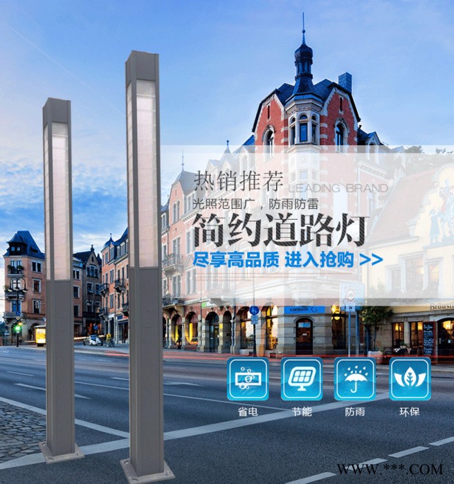 四川太阳能景观灯成都仿古景观灯厂家学校景观灯公园胜隆景观灯图2