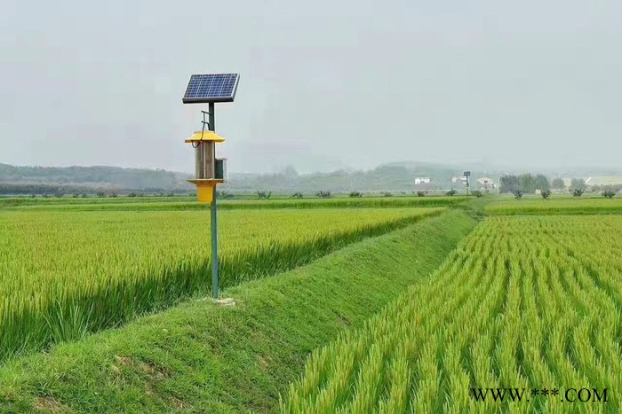 大妙光M-191厂家供应频振式太阳能杀虫灯 太阳能道路照明杀虫一体灯 粘虫板图3