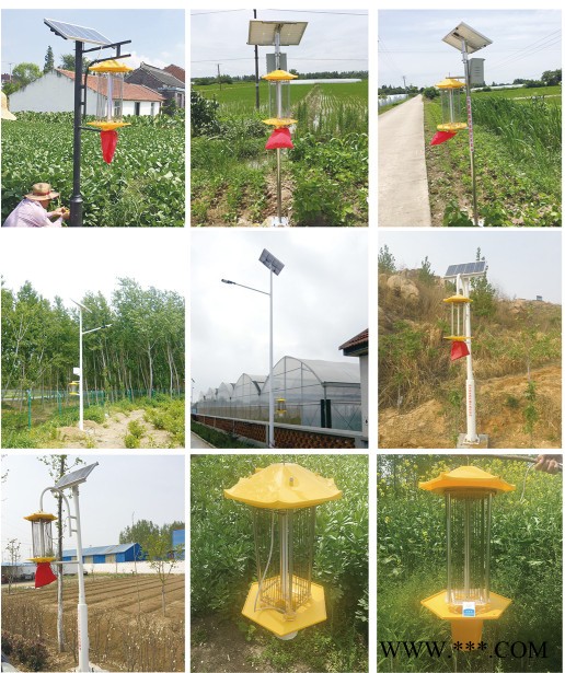 大妙光M-191厂家供应频振式太阳能杀虫灯 太阳能道路照明杀虫一体灯 粘虫板图2