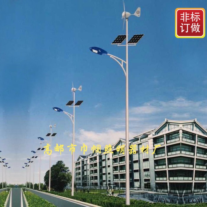 巾帼  量大优惠12V太阳能风能   led路灯风光互补一体  30W路灯风能  6M路灯图5