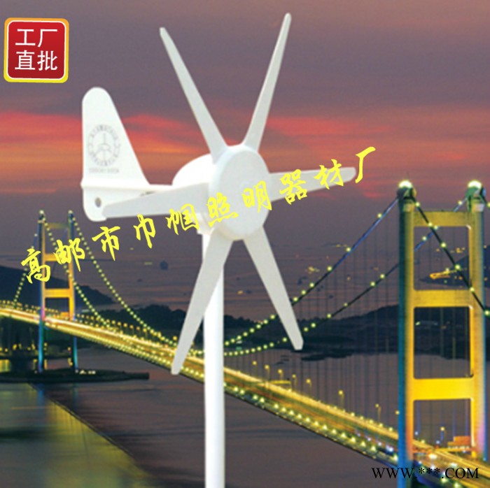 巾帼  量大优惠12V太阳能风能   led路灯风光互补一体  30W路灯风能  6M路灯图4