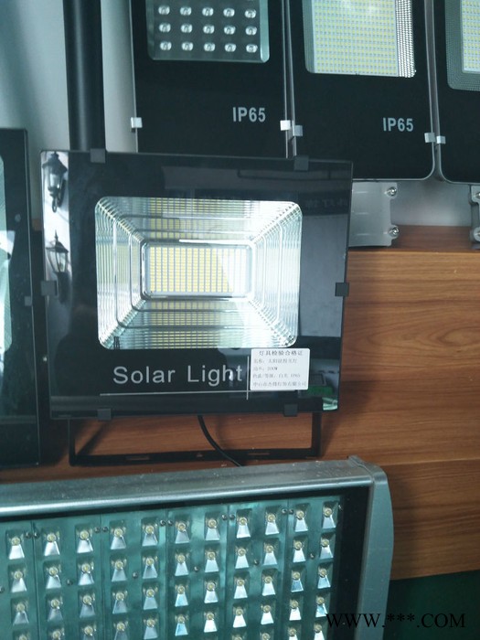 黑金刚太阳能投光灯6v-20W图3