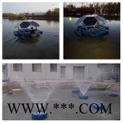 喷泉增氧机 250W太阳能彩灯喷泉曝气机 生产厂家蓝污图5