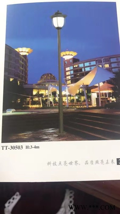 星语德JW-1940(50W） 星语德太阳能路灯图2