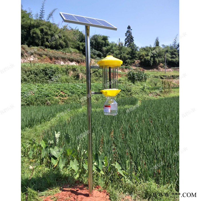太阳能灭虫灯 托普云农灭虫灯 灭虫灯价格厂家图3