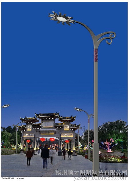 庭院灯**3米3.5米4米5米m庭院灯景观灯广场灯太阳能庭院灯太阳能景观灯可来图定制做异形灯杆灯具 价格优惠 路灯图3