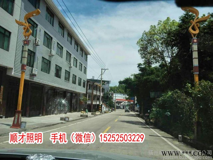 庭院灯**3米3.5米4米5米m庭院灯景观灯广场灯太阳能庭院灯太阳能景观灯可来图定制做异形灯杆灯具 价格优惠 路灯图6