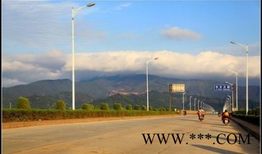 太阳能路灯工程 农村工程 6米小区户外道路图2