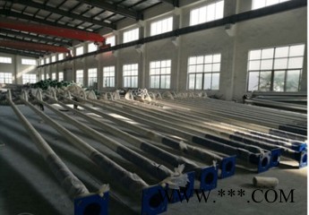 太阳能路灯工程 农村工程 6米小区户外道路图3