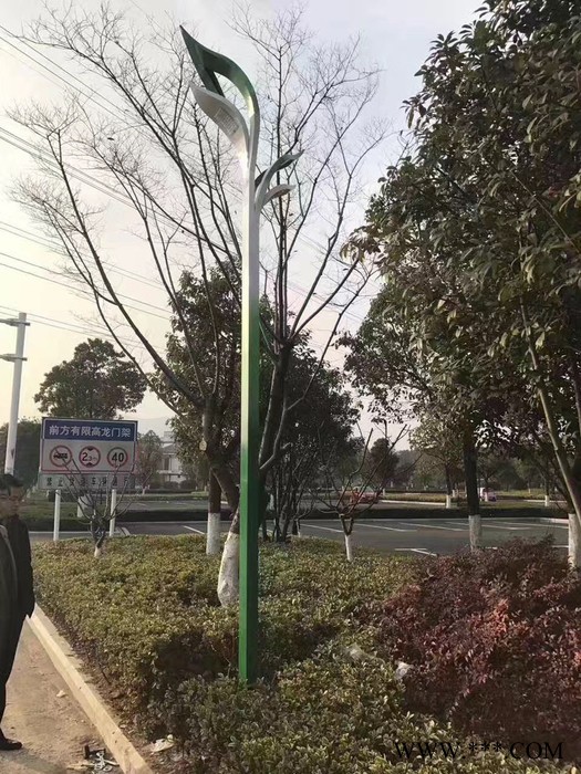 大妙光030供应专业的太阳能景观灯  LED景观路灯 景区3.5米高景观灯 景观方灯图5