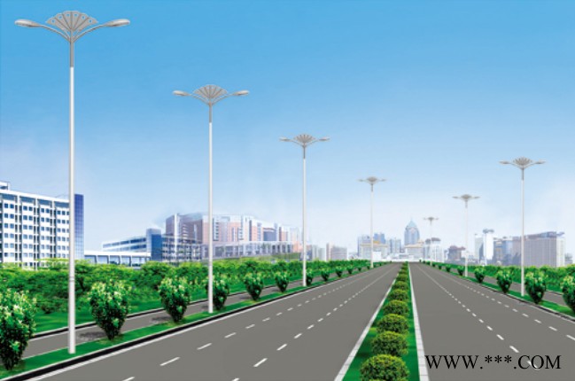 大妙光  供应直销绿色太阳能路灯LED道路灯图6