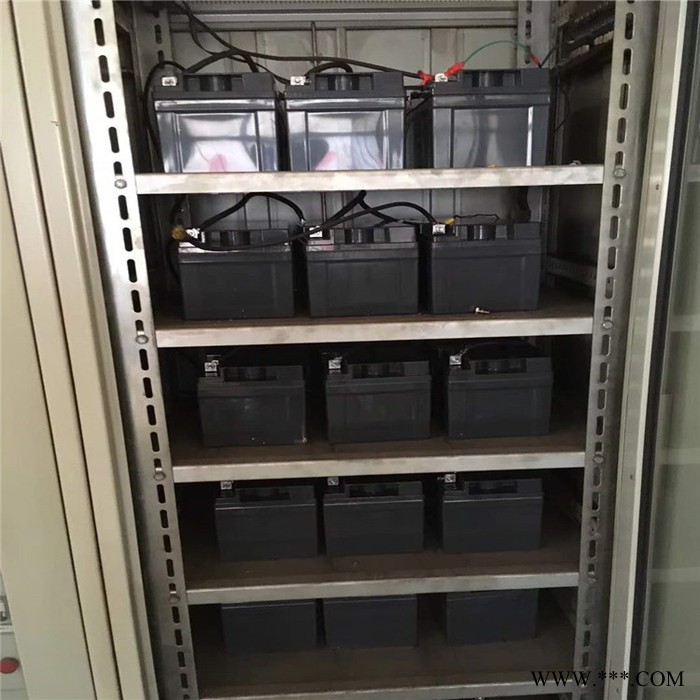 瑞达蓄电池RT12240 太阳能街灯蓄电系统 12V24AH 现货供应图5