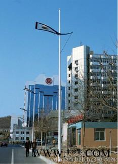 供应大妙光039单臂路灯 篮球场8米路灯 路灯配件 灯杆 太阳能路灯杆图8