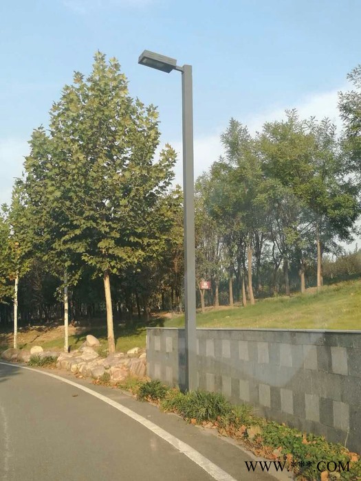 大妙光供应单臂路灯 LED户外双臂路灯 中国结路灯 北京太阳能路灯图7