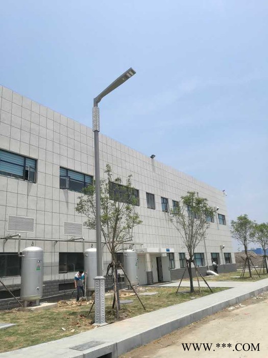 大妙光供应单臂路灯 LED户外双臂路灯 中国结路灯 北京太阳能路灯图2