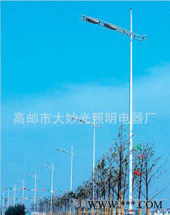 大妙光供应专业的路灯 led路灯 云南太阳能路灯 疝气路灯生产厂家 8米路灯图3