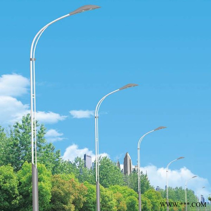 博辉** 新农村太阳能路灯 自弯臂路灯 LED道路灯 户外广场灯批发图4