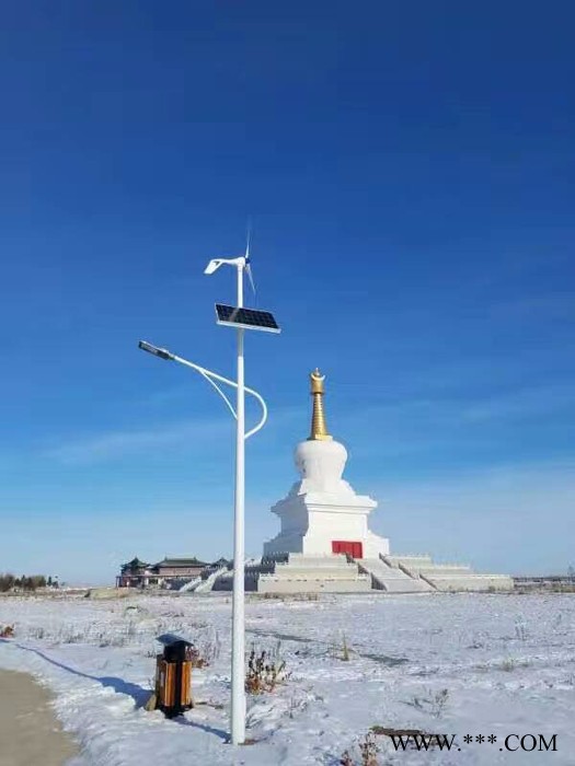 海力西  直销太阳能路灯厂家  风光互补路灯光伏LED路灯控制器 风光互补路灯图5