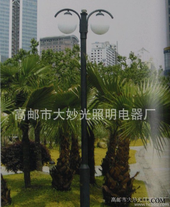 供应欧式庭院灯 双头4米庭院灯 单头太阳能庭院灯 路灯庭院灯 庭院灯头图3