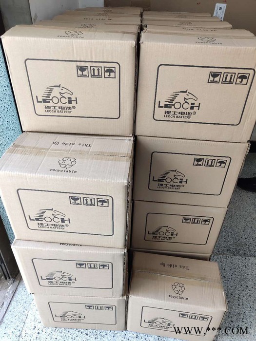 山东理士 LEOCH蓄电池 DJW12-18 理士12V18AH/17AH EPS蓄电池 太阳能路灯电池图2