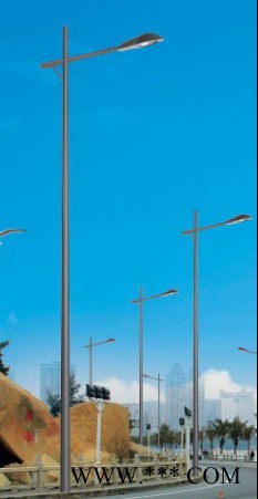 【赛克赛思】新款太阳能仿真蝴蝶灯三头发光光纤蜻蜓道路插地草坪防水庭院灯图2