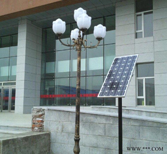 海力西 户外庭院灯 LED庭院灯 路灯 小区路灯 节能庭院灯  景观灯  太阳能路灯厂家图3