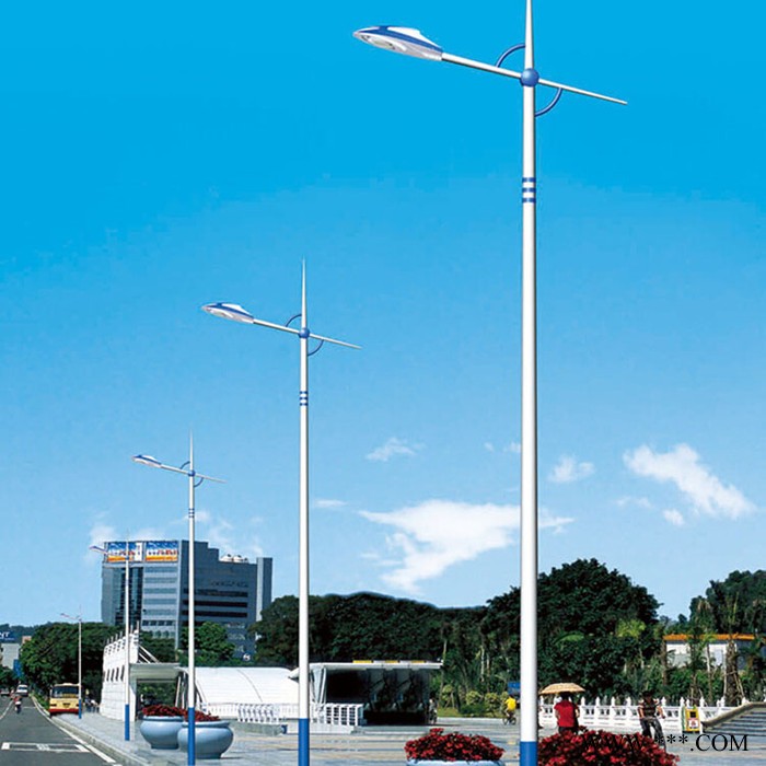 博辉DBD 6米太阳能路灯 led路灯厂家 户外庭院灯 防水LED灯 市政道路灯 led路灯批发**图6