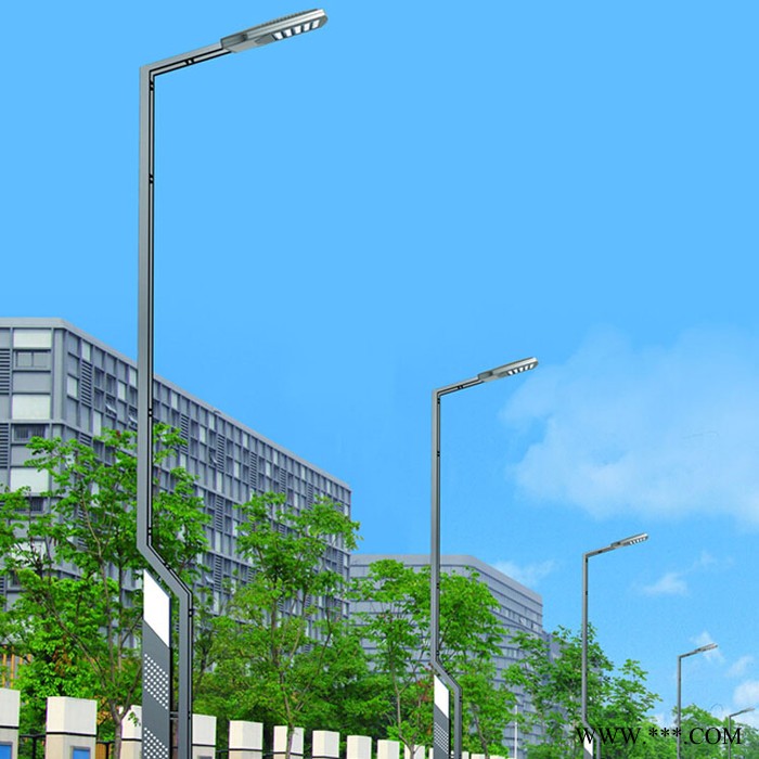 博辉DBD 6米太阳能路灯 led路灯厂家 户外庭院灯 防水LED灯 市政道路灯 led路灯批发**图5