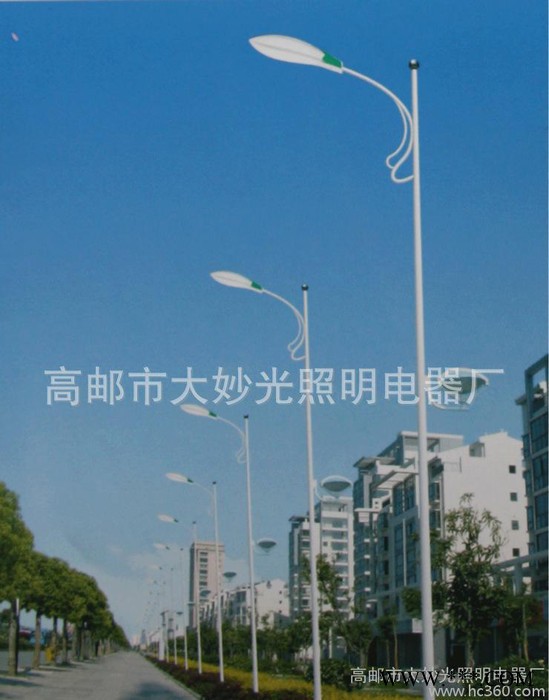 供应LED路灯 10米单臂路灯 100W无极路灯 高杆灯 太阳能路灯厂家图8