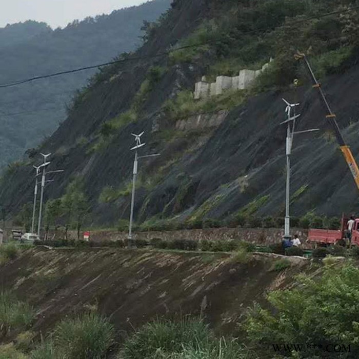 光宇001   风光互补太阳能路灯新农村建设道路照明风力发电led路灯图5