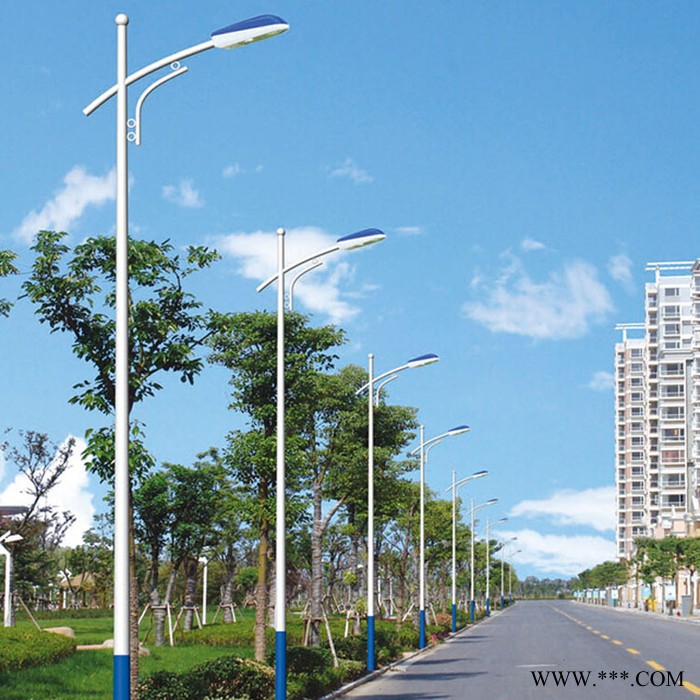 博辉** LED路灯 6米太阳能路灯 小功率路灯 光控路灯 智能路灯图2