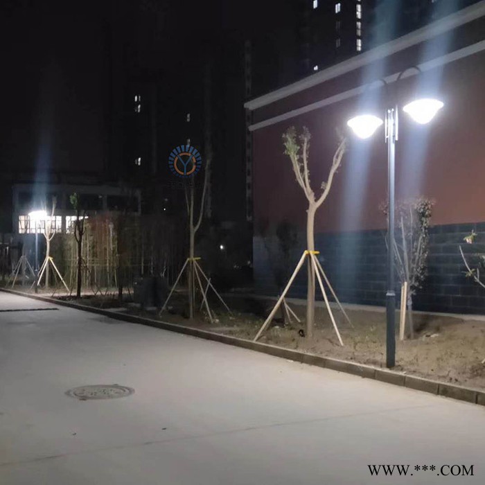 畅园cyzm 镀锌管庭院灯 单双头庭院灯 单头太阳能庭院灯 仿古庭院灯图4